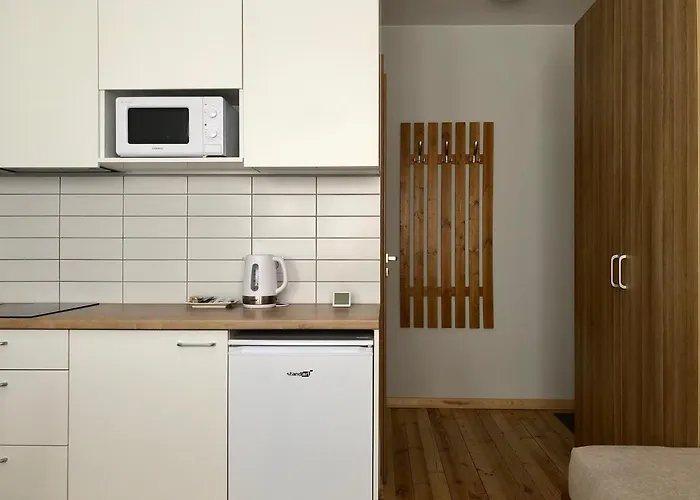 Comfy Patogus Namai קובנה