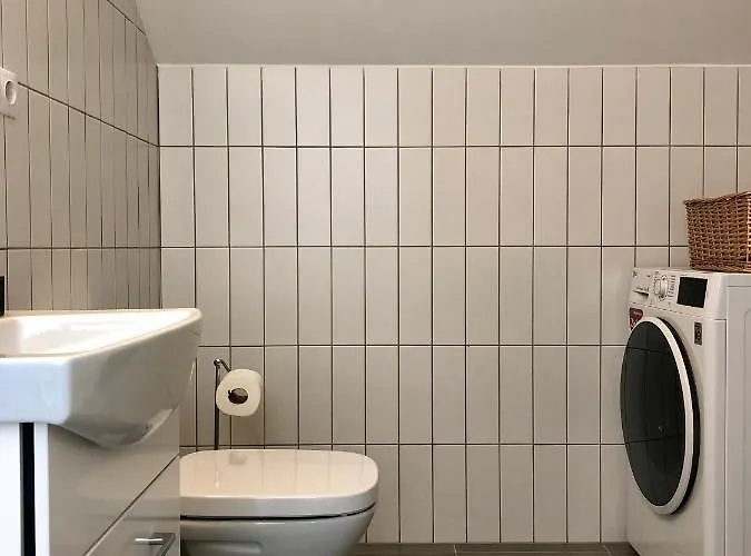 Comfy Patogus Namai *