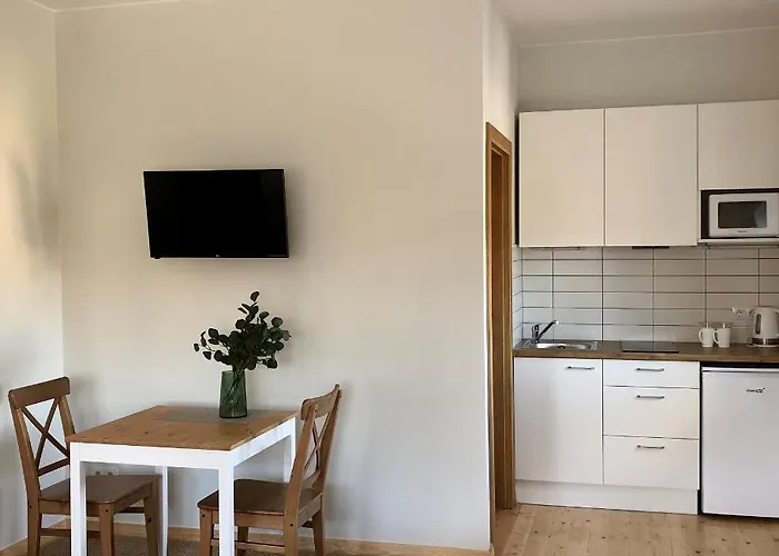 Comfy Patogus Namai * קובנה