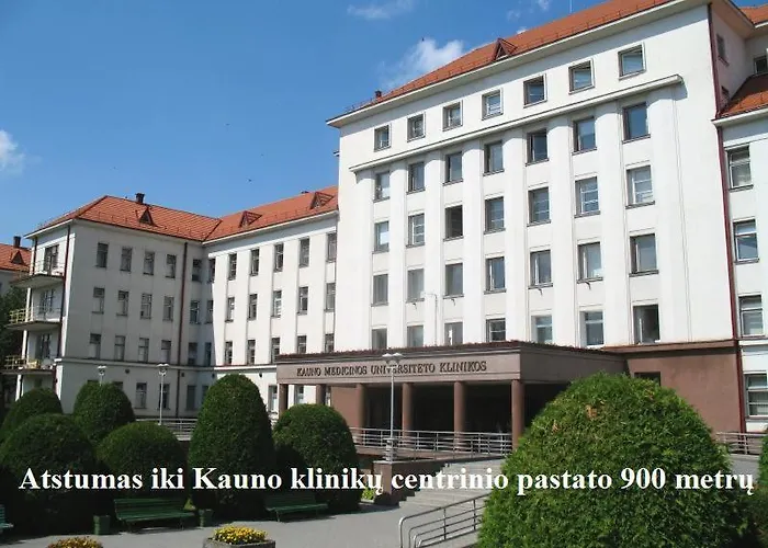 Comfy Patogus Namai *