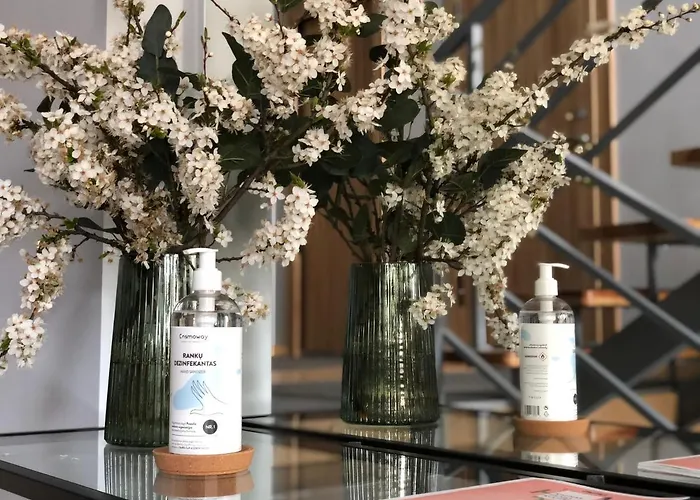 Comfy Patogus Namai קובנה