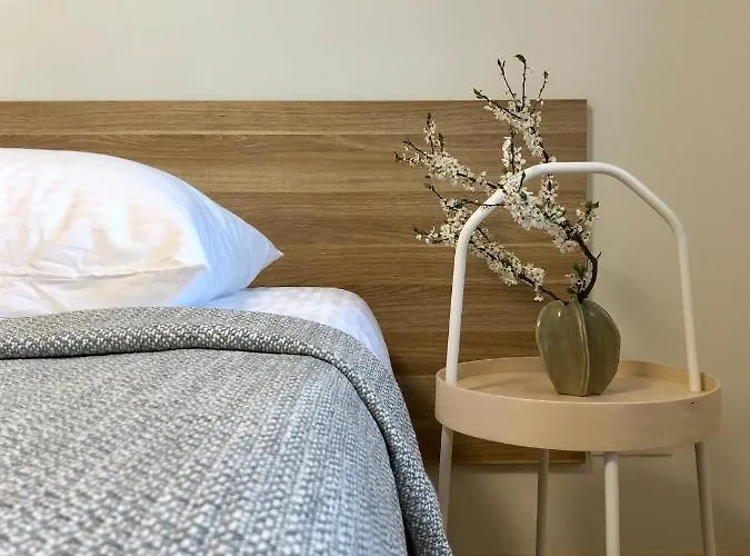 公寓 Comfy Patogus Namai 考纳斯