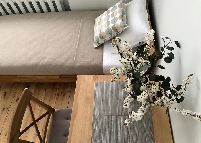 公寓 Comfy Patogus Namai