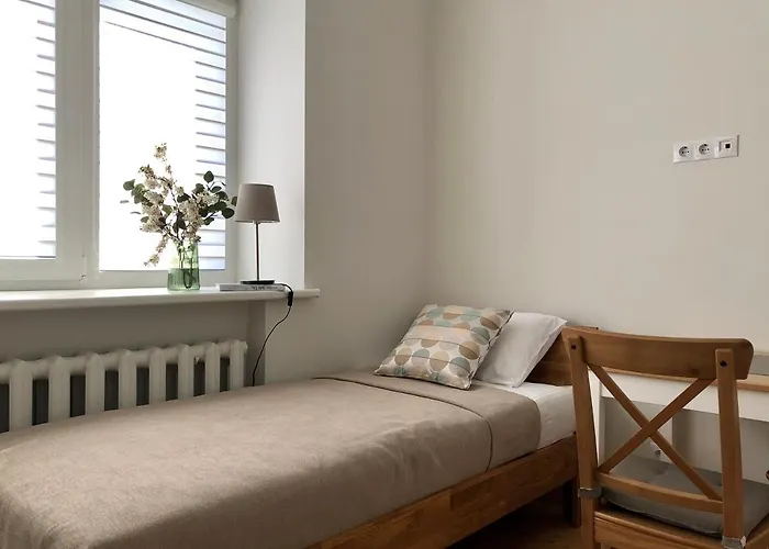 Comfy Patogus Namai 公寓 考纳斯